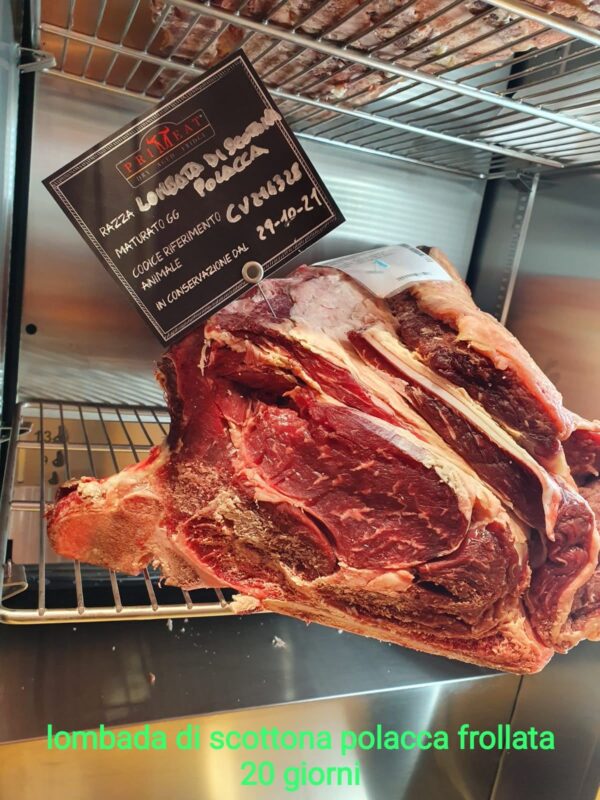 Carne scottona polacca